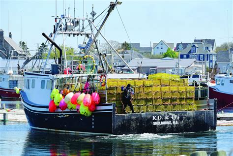 Lobster Season Set to Open in Southwestern Nova Scotia | Atlantic Fisherman