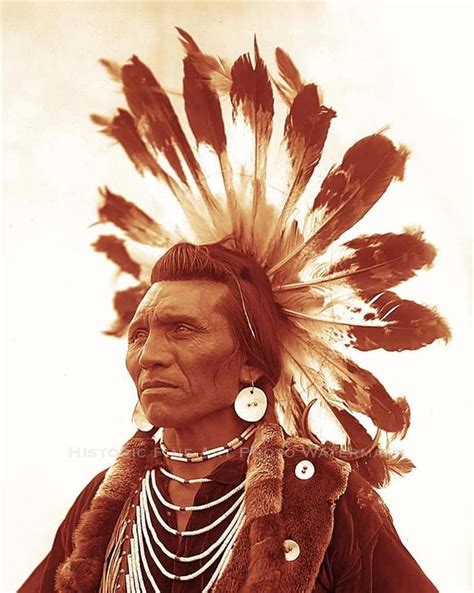 FLATHEAD INDIAN CHIEF EAGLE OLD PHOTO WARRIOR HEADDRESS 1885 #21005 ...