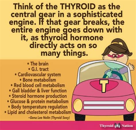 Hashimoto Thyroid Disease, Hypothyroidism Symptoms, Underactive Thyroid, Thyroid Diet, Thyroid ...