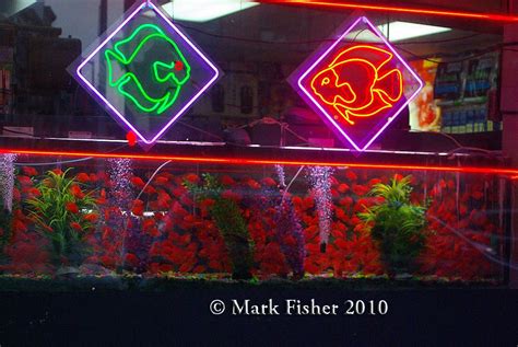 Enlightening Thunder: New York Tale - Goldfish Store - Mark Fisher's Image