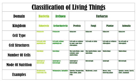 Domains And Kingdoms Chart