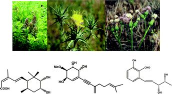 Fungal phytotoxins with potential herbicidal activity: chemical and biological characterization ...