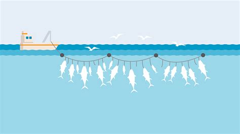 Fishing with Longlines | Marine Stewardship Council | Marine Stewardship Council