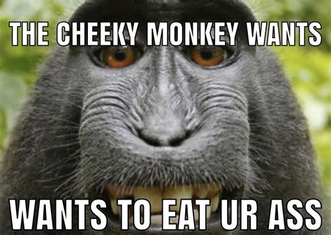 cheeky monkey : r/okbuddyretard