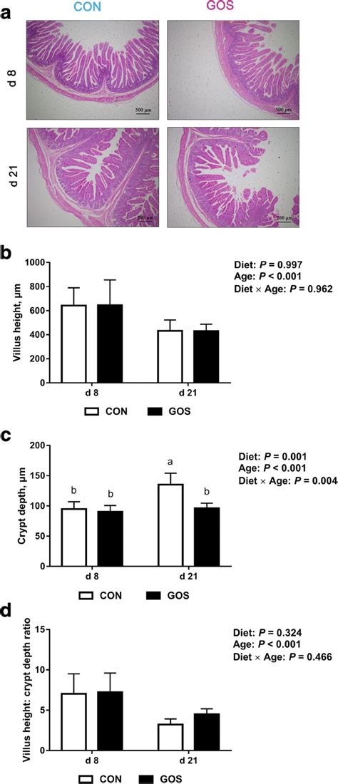 Effects of galacto-oligosaccharides on growth and gut function of newborn suckling piglets ...