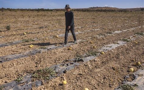 Morocco fears severe water shortages amid worst drought in 40 years ...