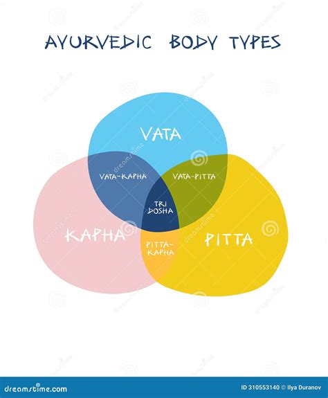 Infographic of Ayurvedic Body Types Stock Vector - Illustration of chart, ayurveda: 310553140