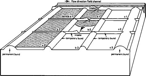 Aggregate more than 129 ring basin irrigation method latest ...