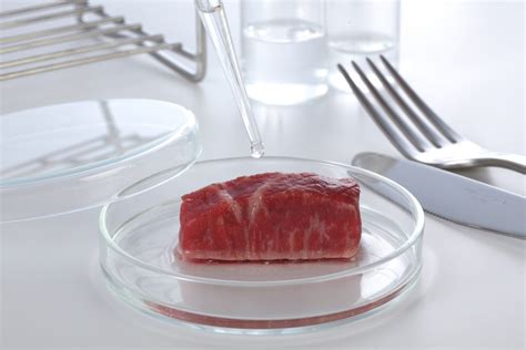 Is cultured meat grown from animal cells realistic enough in taste?