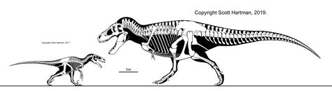 Utahraptor Size Comparison