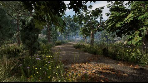 Mediterranean Forest Scanned in Environments - UE Marketplace