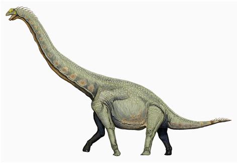 Love in the Time of Chasmosaurs: Hold Your Head High, Brachiosaurus