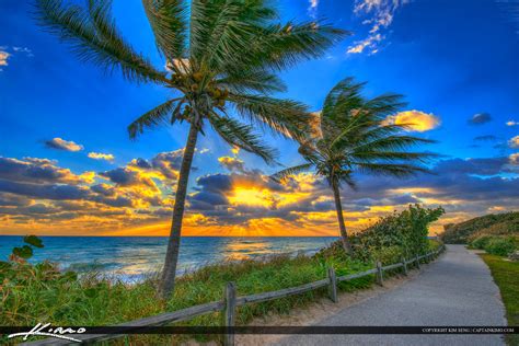 Coconut Tree Sunrise at the Beach Jupiter Island | HDR Photography by Captain Kimo