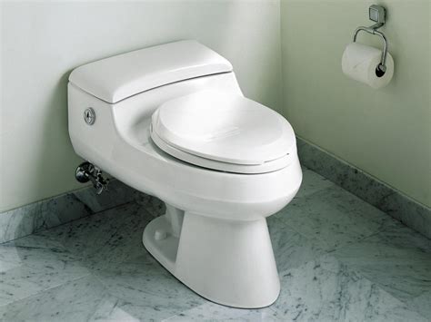 Water-Saving Toilets That Won’t Flush Away Your Money | HGTV