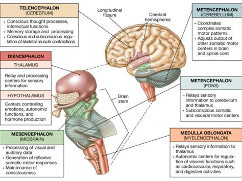 10 best Progressive supranuclear palsy (PSP) images on Pinterest | Psp ...