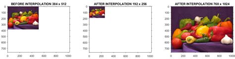 Nearest Neighbor Interpolation | IMAGE PROCESSING