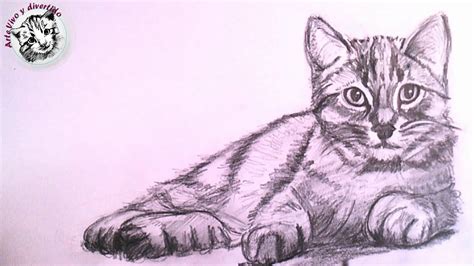 Vandalir Explícitamente Depender de dibujo a lapiz de un gato ...