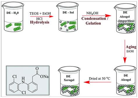 Schematic diagram showing DE-xerogel (DE-XER) synthesis. Inset:... | Download Scientific Diagram