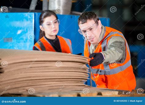 Paper mill factory workers stock image. Image of holding - 80169205