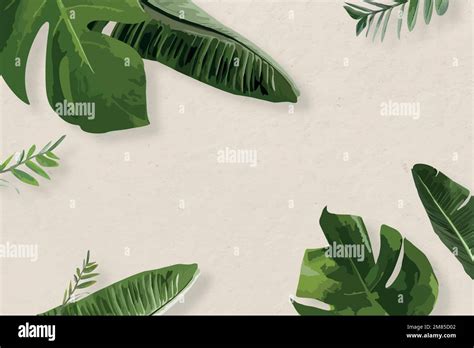 Green leaf frame vector exotic border, banana leaf Stock Vector Image ...