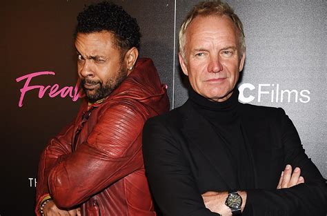 Shaggy & Sting Unite for Collaborative Album, Release 'Don't Make Me ...