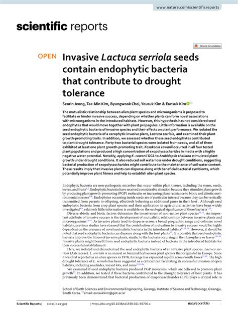 Invasive Lactuca Serriola Seeds Contain Endophytic Bacteria That Contribute to Drought Tolerance ...