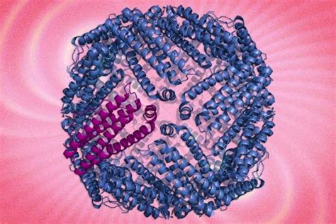 New protein nanoparticles allow scientists to track cells and interactions within them