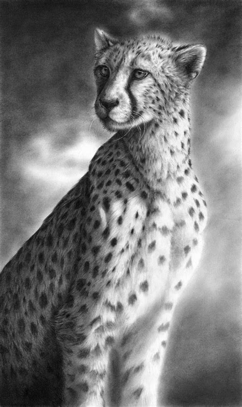 Hyper-Realistic Wildlife | Cheetah drawing, Animal drawings, Pencil drawings of animals