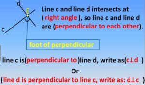 What is the Foot of a Perpendicular Line? - A Plus Topper