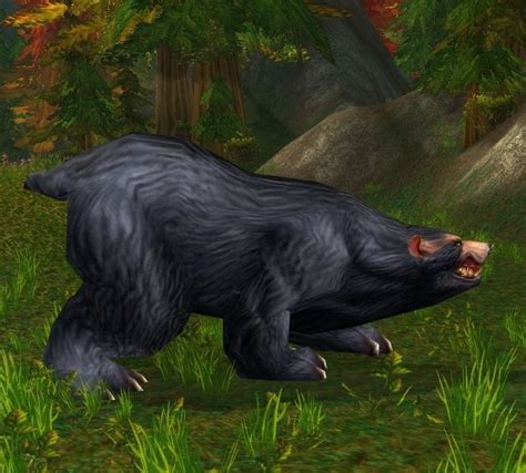 Vicious Black Bear - Wowpedia - Your wiki guide to the World of Warcraft