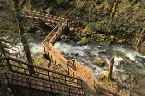 Hike to the Extraordinary Waterfalls of McDowell Creek Falls County ...