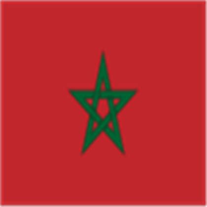 Morocco Flag
