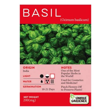 Sweet Basil Seeds 3-Pack