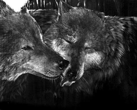 10+ Cool Wolf Drawings for Inspiration 2023