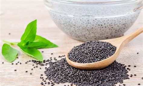 Basil Seeds vs Chia Seeds: What’s the Difference? - A-Z Animals