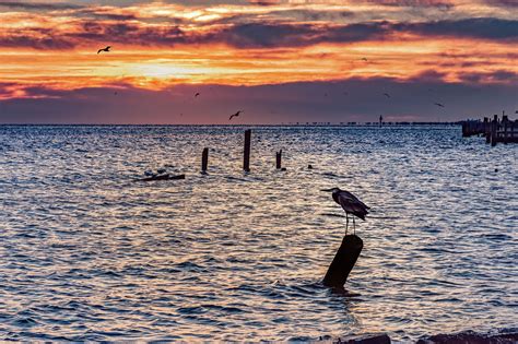 Experience Seabrook, Texas—a vibrant coastal community