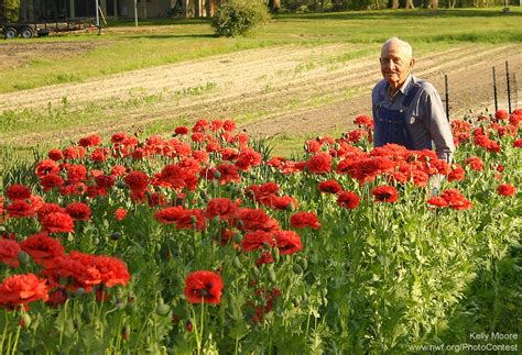 How to Garden Your Way to Health and Happiness - The National Wildlife Federation Blog