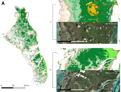 Land cover classification map shown with corresponding Microsoft... | Download Scientific Diagram