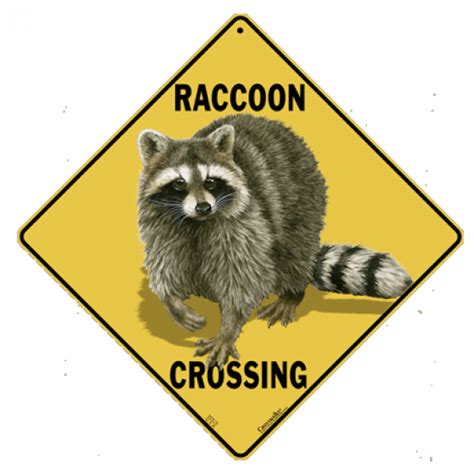 Raccoon Crossing Sign