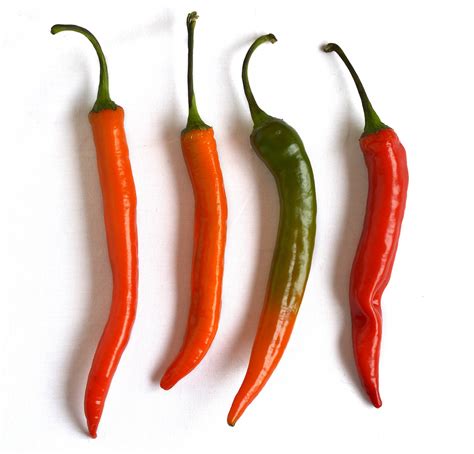 Pepper, Hot Cayenne Long Slim - Heirloom – Hometown Seeds