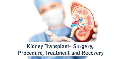 Kidney Transplant- Surgery, Procedure, Treatment and Recovery – Bansal Hospital