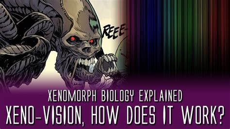 How Does Xenomorph Vision Works? Xenomorph Biology Explained - YouTube