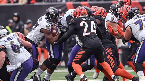 Ravens Excited to Visit Bengals on Wild-Card Weekend