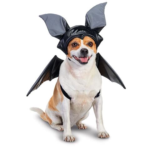 Petco Bat Halloween Dog Costume | the fur baby | Pinterest