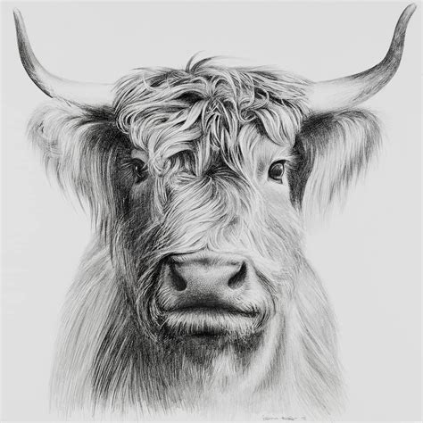 Realistic Pencil Drawing by Sabrina Hassler Illustration - made with ...