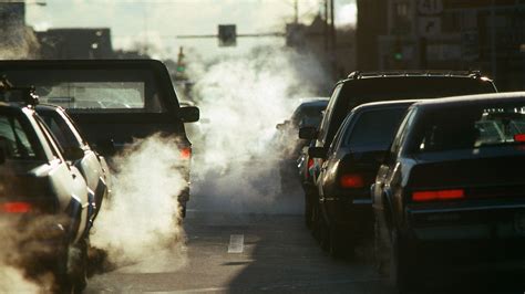 Air Pollution Linked to Increased Risk of Autoimmune Diseases ...