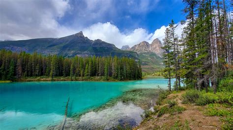 I found a little lake near Athabasca Crossing, AB : r/camping