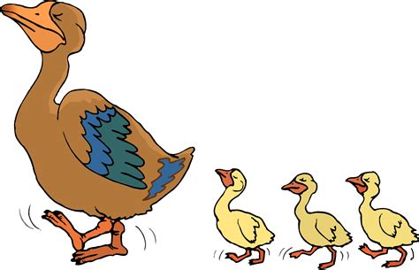 Ducklings clipart 20 free Cliparts | Download images on Clipground 2024