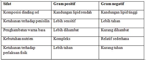 Mengapa bakteri gram positif dapat berwarna biru ungu, bakteri gram ...