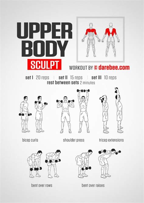 Arm Workout Men, Gym Workout Tips, Bodyweight Workout, At Home Workouts, Workout Exercises ...